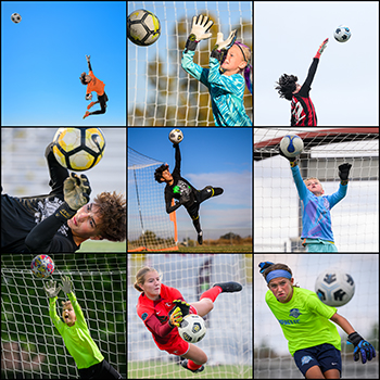 Full Web Gallery